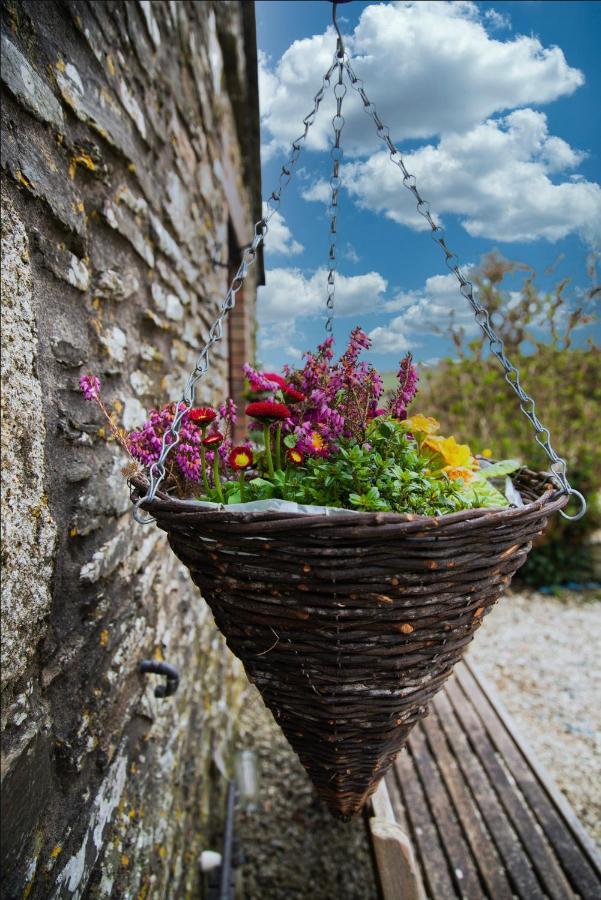 Polrunny Farm Seaberry Cottage With A Sea View And Log Burner Boscastle Exteriör bild