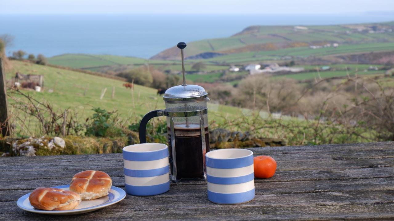 Polrunny Farm Seaberry Cottage With A Sea View And Log Burner Boscastle Exteriör bild