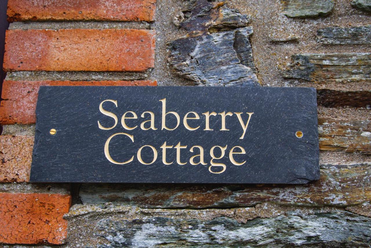 Polrunny Farm Seaberry Cottage With A Sea View And Log Burner Boscastle Exteriör bild