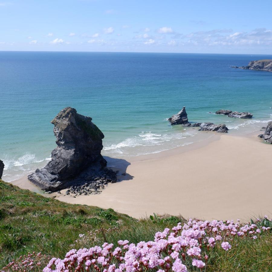 Polrunny Farm Seaberry Cottage With A Sea View And Log Burner Boscastle Exteriör bild