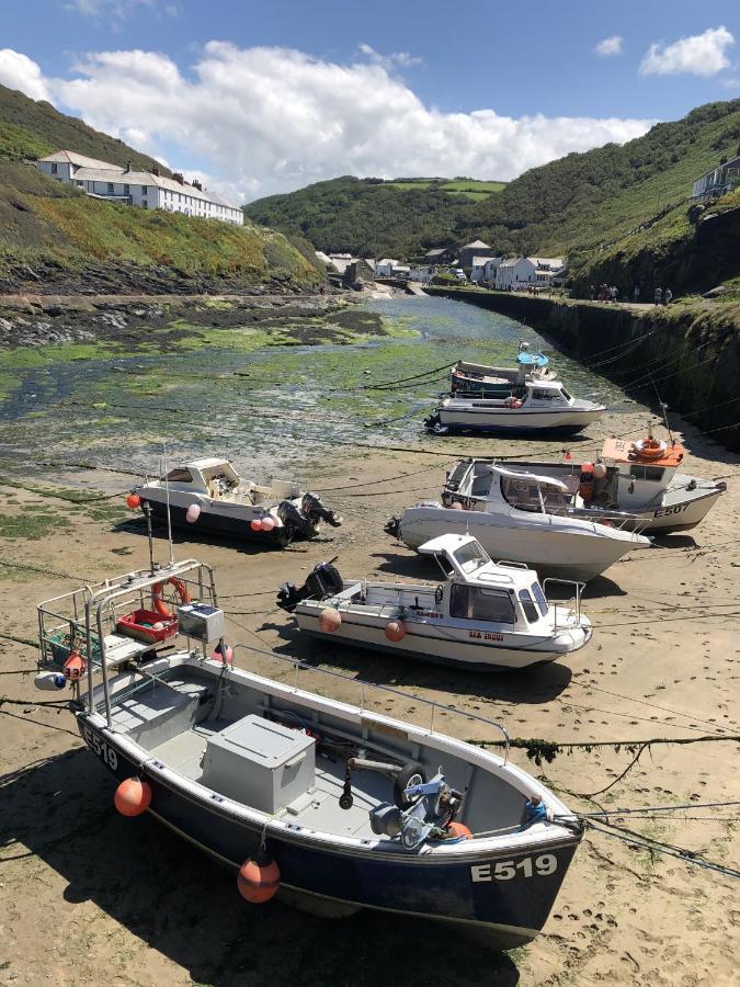 Polrunny Farm Seaberry Cottage With A Sea View And Log Burner Boscastle Exteriör bild