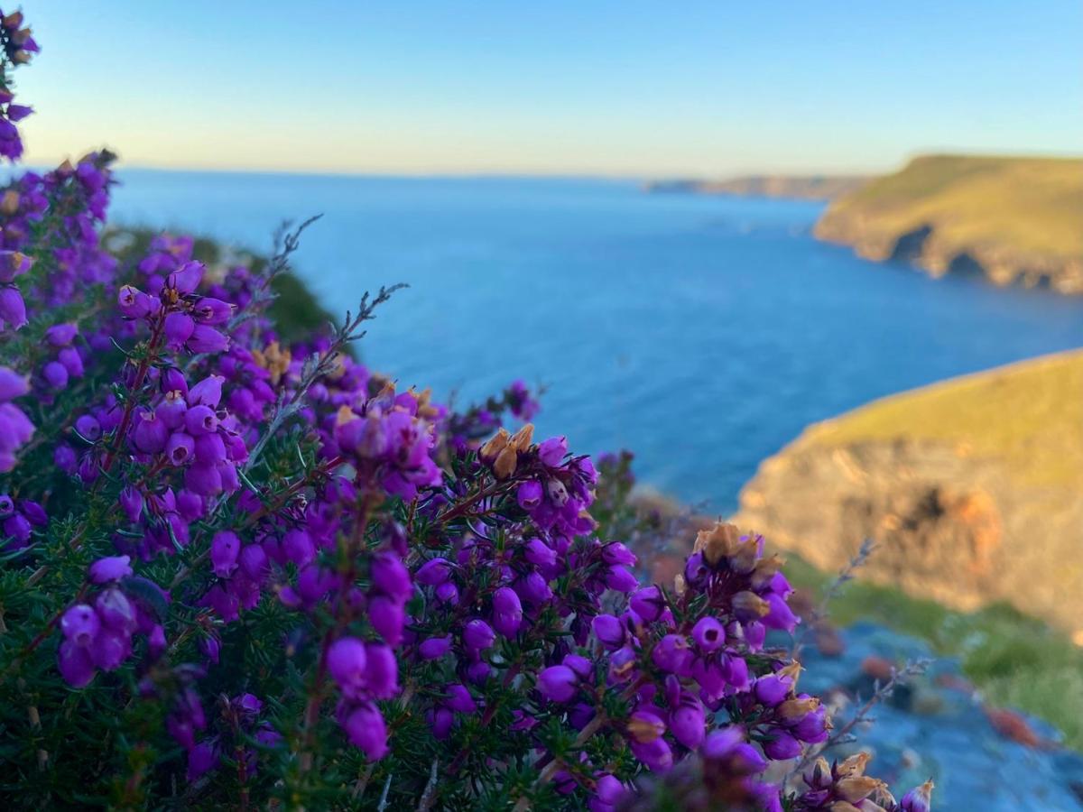 Polrunny Farm Seaberry Cottage With A Sea View And Log Burner Boscastle Exteriör bild