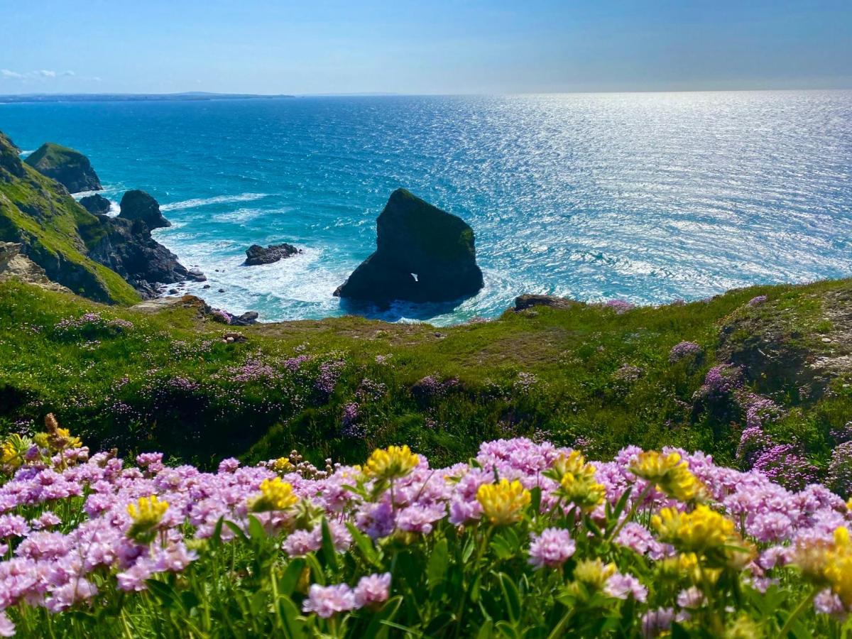 Polrunny Farm Seaberry Cottage With A Sea View And Log Burner Boscastle Exteriör bild