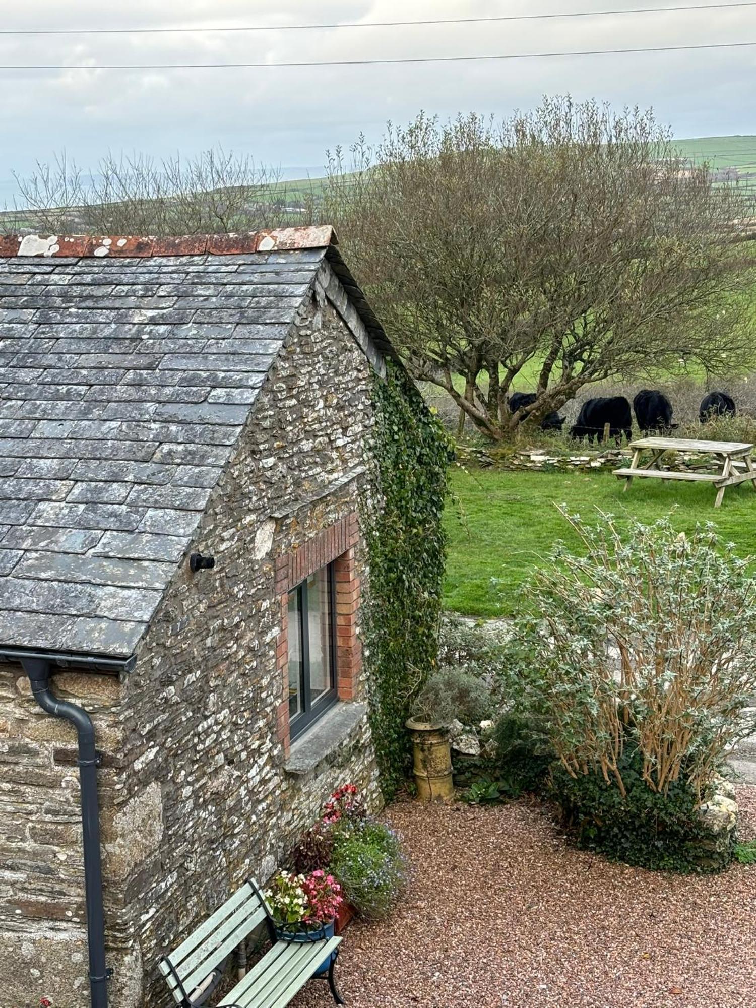 Polrunny Farm Seaberry Cottage With A Sea View And Log Burner Boscastle Exteriör bild